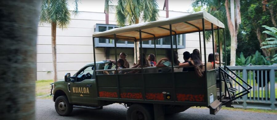 Oahu: Kualoa Jurassic Movie Set Adventure Tour - Should you book the Oahu Kualoa Jurassic Movie Set Adventure Tour?
