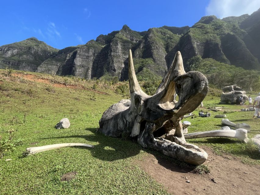 Oahu: Kualoa Movie Sites, Jungle, and Buffet Tour Package - Why this Kualoa Ranch combo feels like good value