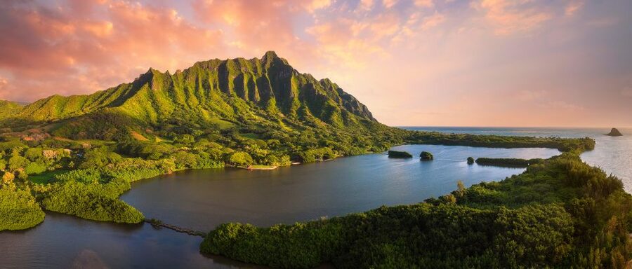 Oahu: Kualoa Movie Sites, Jungle, and Buffet Tour Package - Hakipu’u Jungle Expedition: 90 minutes in the rainforest