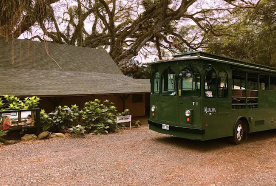 Oahu: Kualoa Movie Sites, Jungle, and Buffet Tour Package - Kualoa Grown Tour: fruit and flowers, plus an 800-year-old fishpond