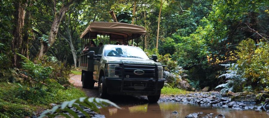 Oahu: Kualoa Open Air Jungle Expedition Tour - Getting to Kualoa Ranch: your first timing win