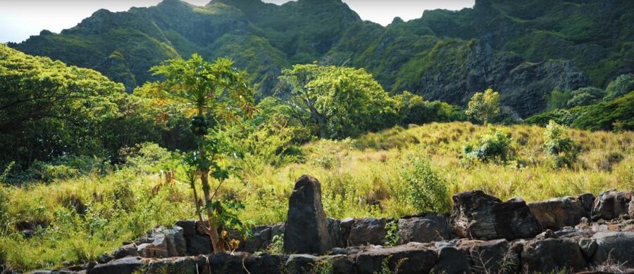 Oahu: Kualoa Open Air Jungle Expedition Tour - Jurassic World and Kong Skull Island filming-site moments