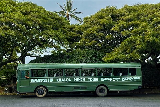 Oahu: Kualoa Ranch Movie Sites and Ranch Tour - Movie Sites Tour That Feels Like a Road Trip, Not a Theme Park