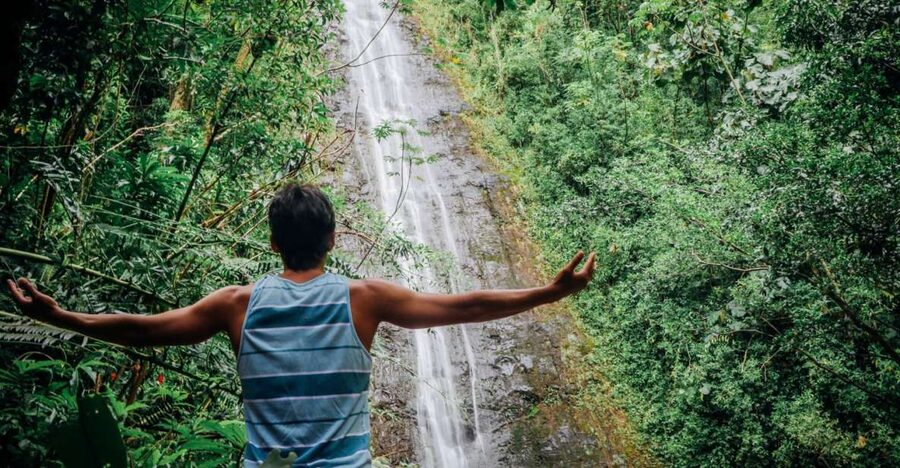 Oahu: Manoa Falls Waterfall Hike with Lunch and Transfers - Key Points I’d Put on Your Short List