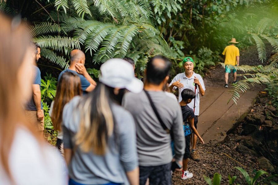 Oahu: Manoa Falls Waterfall Hike with Lunch and Transfers - Tantalus Lookout Lunch: Diamond Head and Honolulu in One Sitting