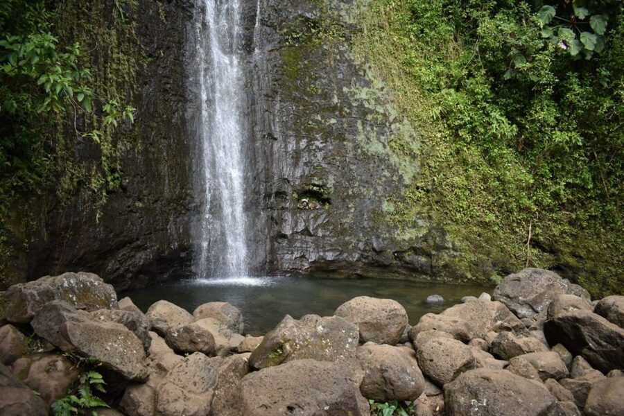 Oahu: Manoa Falls Waterfall Hike with Lunch and Transfers - Transfers and Timing From Waikiki: A Smooth 5-Hour Block