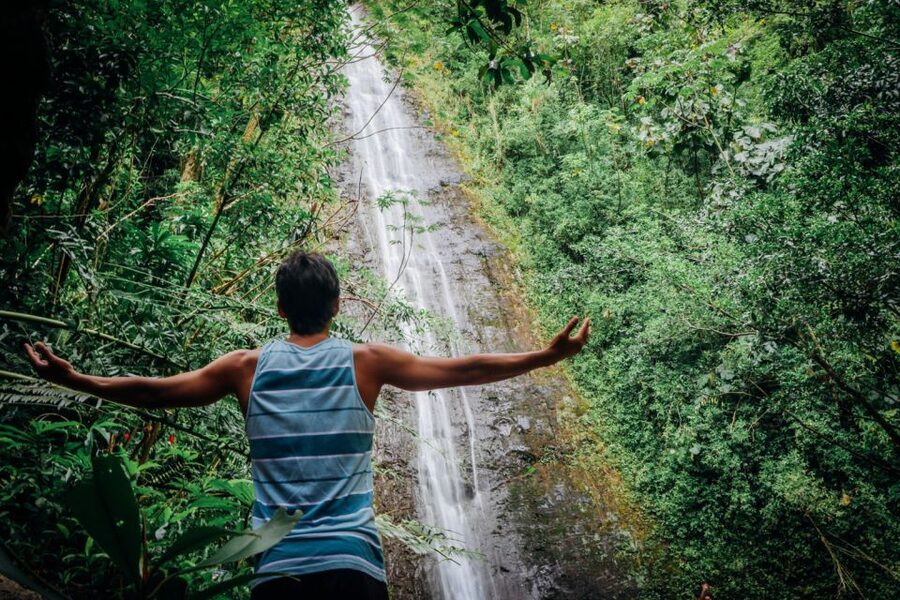 Oahu: Manoa Falls Waterfall Hike with Lunch and Transfers - Fitness, Weather, and Packing: Your Mud-Proof Checklist