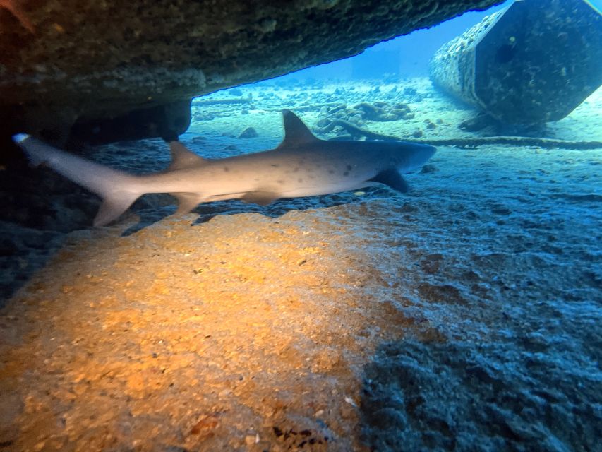 Oahu Night Dive: Adventure for Certified Divers - Quick prep list before you go