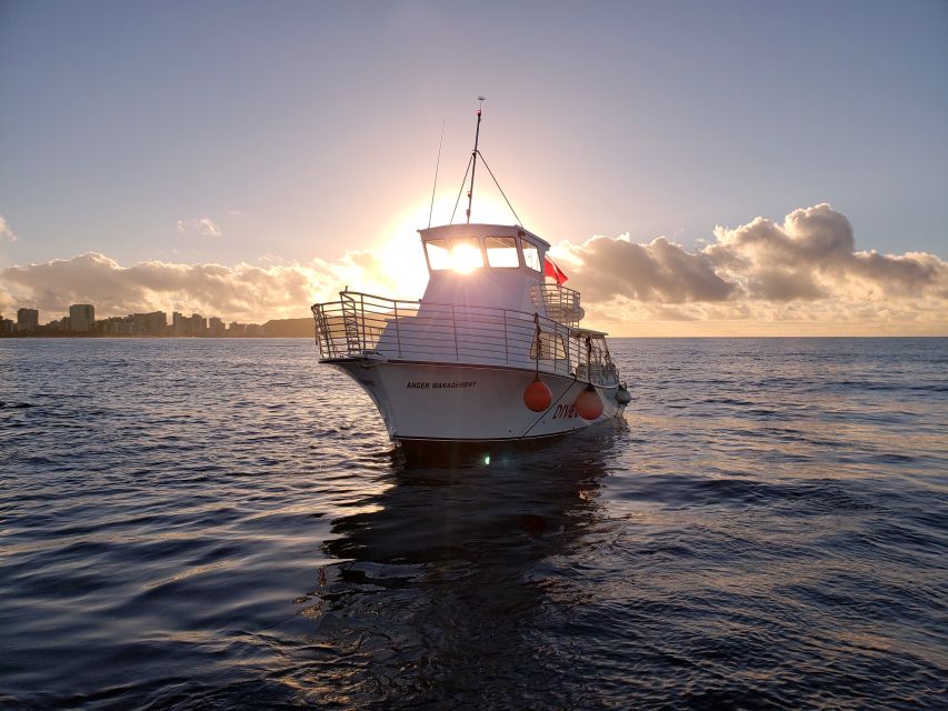 Oahu Night Dive: Adventure for Certified Divers - Oahu Night Scuba Off the South Shore: The Real Appeal