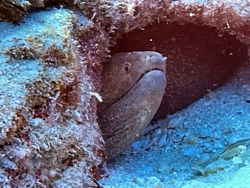 Oahu Night Dive: Adventure for Certified Divers - Gear package worth noticing: tanks, wetsuit, weights, fins, BCD, and lights
