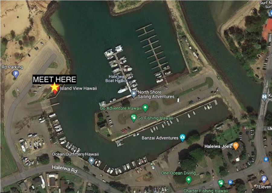 Oahu: North Shore Cageless Shark Snorkeling Tour - Small-group comfort and why it matters in the ocean
