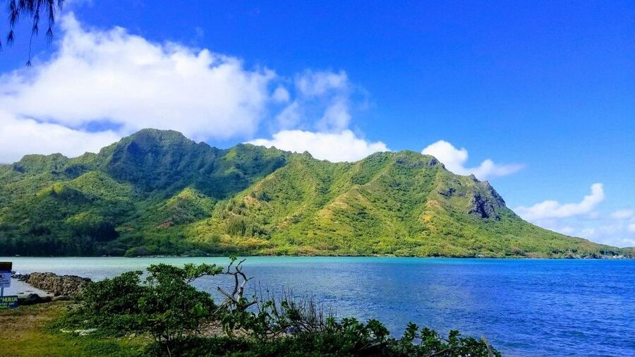 Oahu: North Shore Circle Island Small-Group Tour - Haleiwa and Dole Plantation: small-town charm and a practical final stop