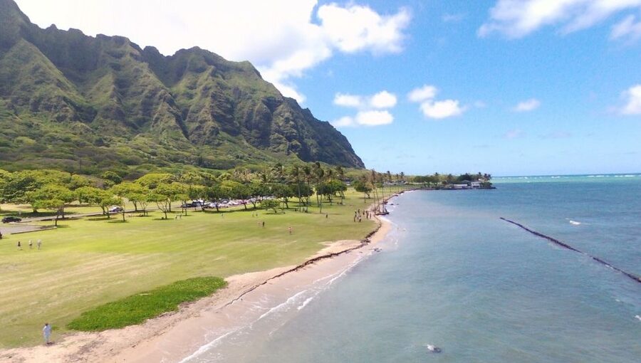 Oahu: North Shore Circle Island Small-Group Tour - Kahuku food trucks break: real North Shore flavor without planning