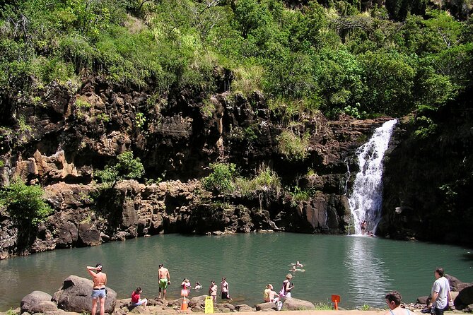 Oahu North Shore Experience: Activities, Waterfall & Free Time - Tropical Farms stop: coffee and macadamia tasting to kick-start the day
