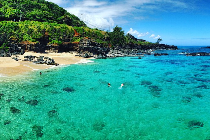 Oahu North Shore Experience: Activities, Waterfall & Free Time - Shark’s Cove snorkeling: best odds for sea turtles and lots of fish