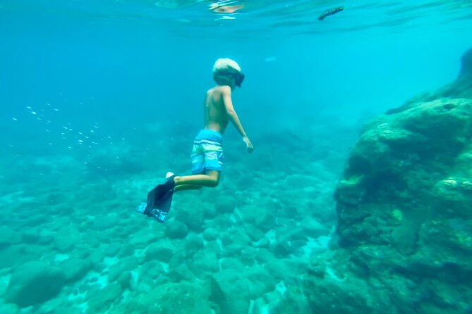 Oahu North Shore Experience: Activities, Waterfall & Free Time - Haleiwa Town free time: art galleries, shave ice, and river paddling options