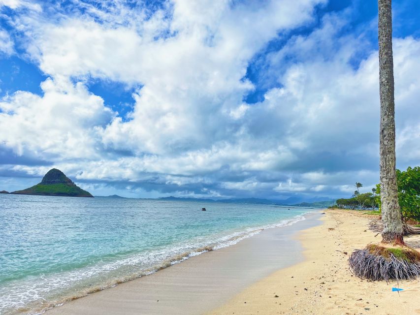 Oahu: North Shore Experience and Dole Plantation - Who This Tour Fits (and Who Should Skip It)