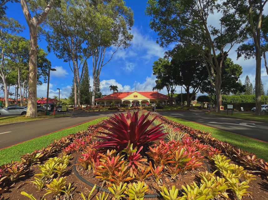 Oahu: North Shore Experience and Dole Plantation - How This 8-Hour North Shore Tour Runs From Waikiki