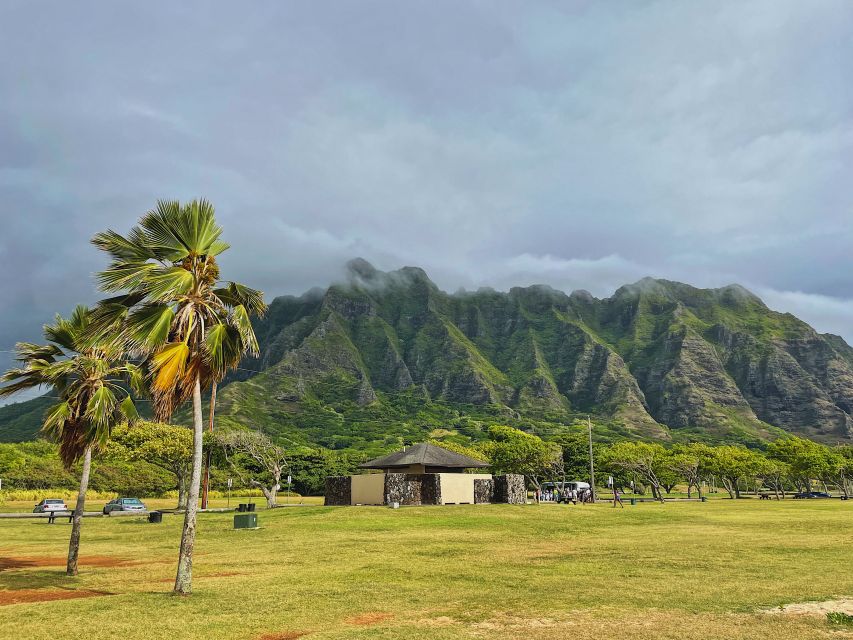 Oahu: North Shore Experience and Dole Plantation - Sunset Beach and Alii Beach Stops: What Winter Surf Can Change
