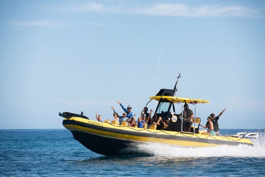 Oahu: North Shore Haleʻiwa: Private Boat Charter - A private boat charter from Haleʻiwa: why it feels better on Oahu