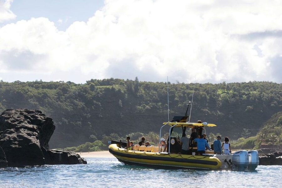 Oahu: North Shore Haleʻiwa: Private Boat Charter - The snorkeling and swim stop: gear, water, and what you’re likely to see