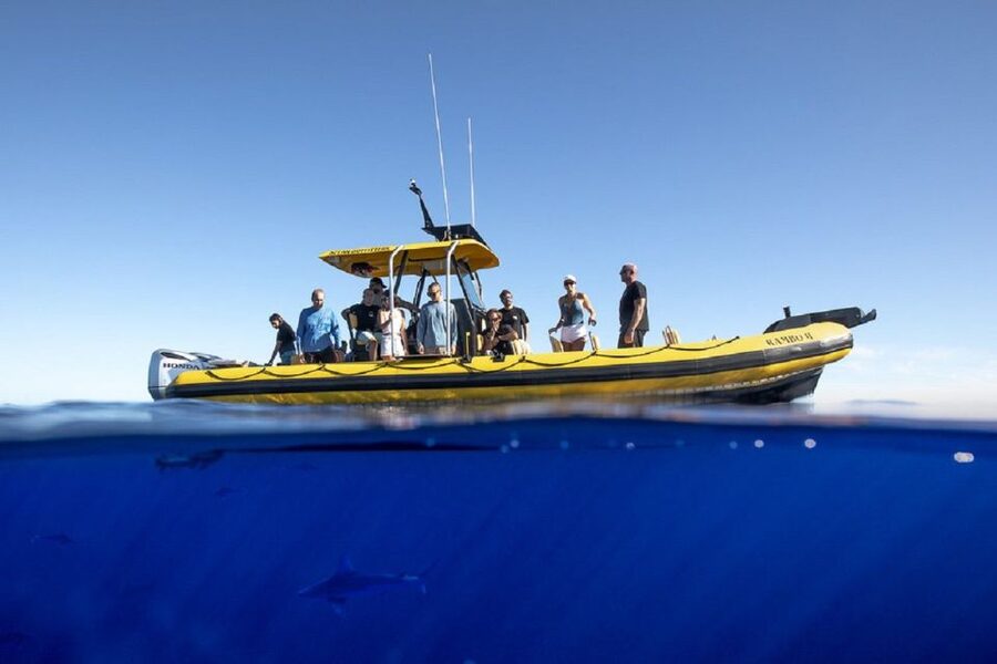 Oahu: North Shore Haleʻiwa: Private Boat Charter - Where you meet: Haleʻiwa Harbor logistics that keep the day stress-free