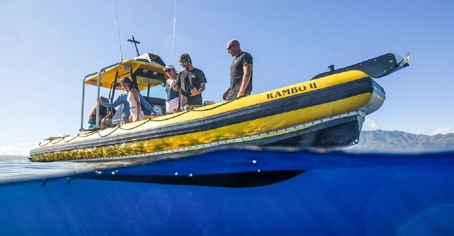 Oahu: North Shore Haleʻiwa: Private Boat Charter - Who this North Shore charter fits best (and who should rethink it)