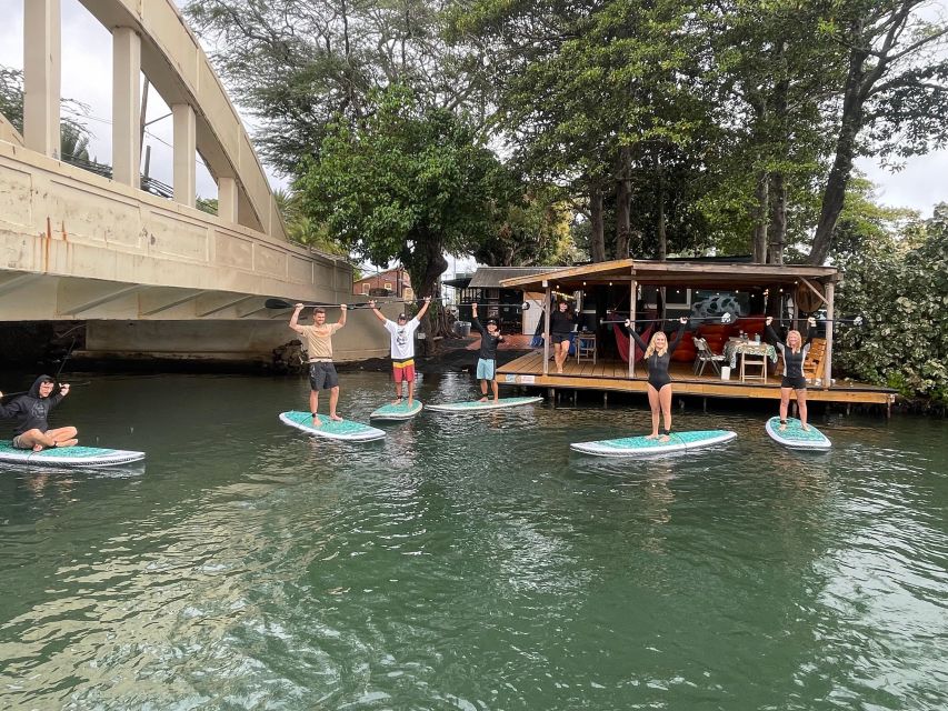 Oahu: North Shore Haleiwa Paddleboard River Adventure - Wildlife time: Honu sea turtles, birds, and the joy of quiet searching