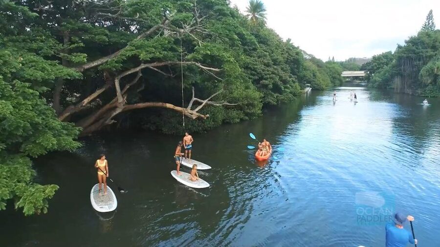 Oahu: North Shore Haleiwa Paddleboard River Adventure - Instruction that actually helps you stand and steer