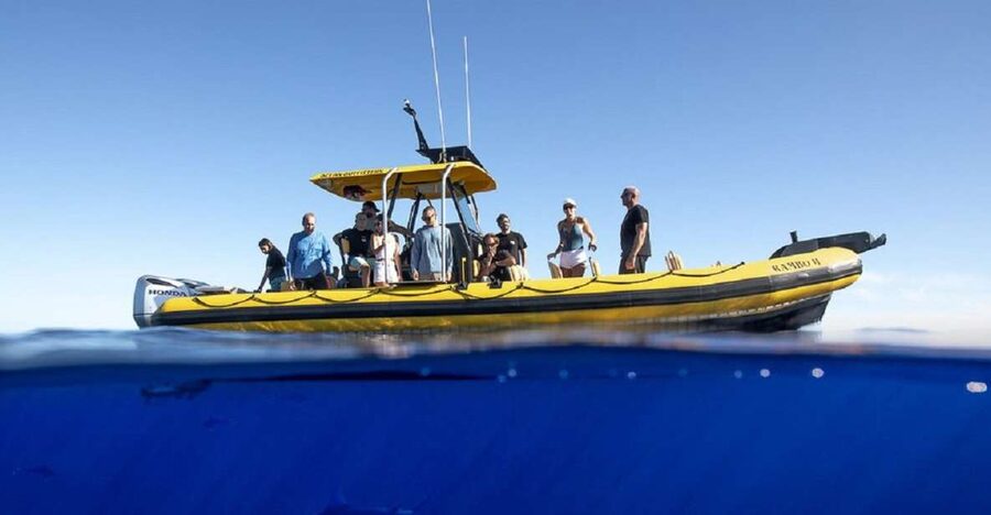 Oahu: North Shore Marine Life Tour from Haleiwa - North Shore Marine Life Tour: what makes it feel worth the drive