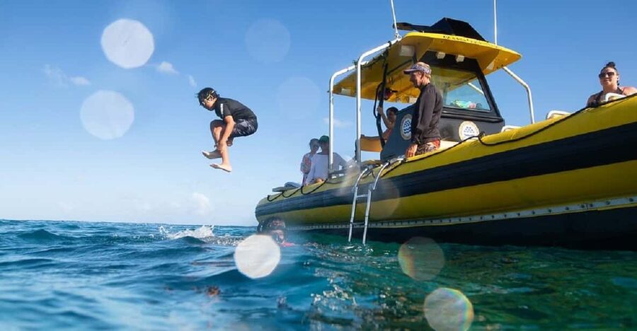 Oahu: North Shore Snorkeling Tour from Haleiwa - Timing tips: planning around Haleiwa and the North Shore