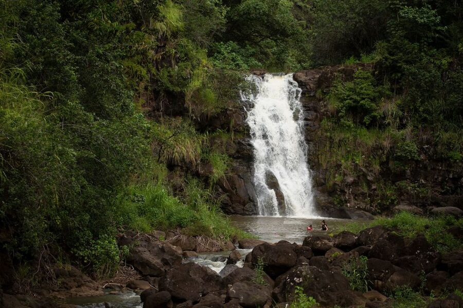 Oahu: North Shore Waterfall Swim - The Waimea Valley walk: paved, scenic, and worth preparing for