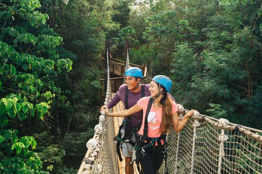 Oahu: North Shore Zip Line Adventure with ATV and Farm Tour - 8 side-by-side zip lines: how the course feels