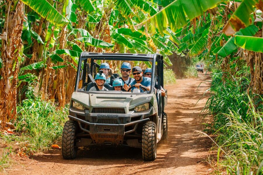 Oahu: North Shore Zip Line Adventure with ATV and Farm Tour - Sky bridges, boardwalks, and the in-between fun