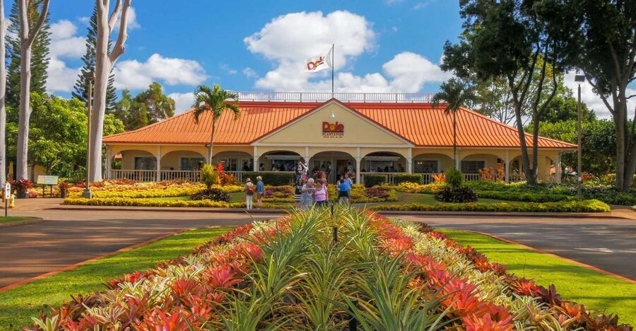 Oahu: Oahu Ultimate Grand Circle Island Tour - Hyatt Regency Pickup on Koa Avenue: Beat the Confusion Early
