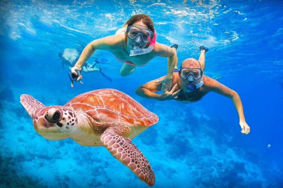 Oahu: Oahu Ultimate Grand Circle Island Tour - Kualoa and Laie: Mac Nuts, Movie Country, and a Temple Photo