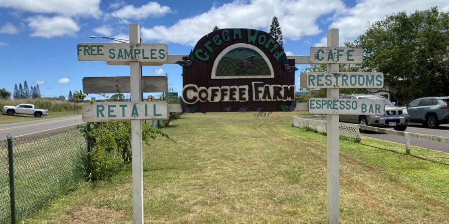 Oahu: Oahu Ultimate Grand Circle Island Tour - Hale’iwa and Surf Culture: Where the North Shore Stories Start
