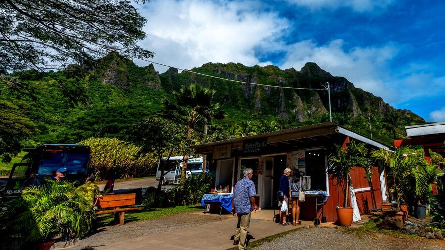 Oahu: Oahu Ultimate Grand Circle Island Tour - Green World Coffee Farm: Samples, Gifts, and a Calm Ending