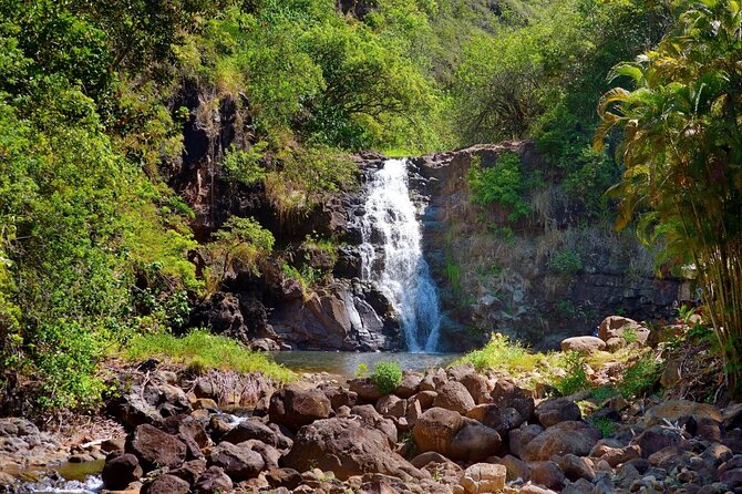 Oahu Personalized Private North Shore Highlight Custom Tour - A private North Shore day you can actually shape