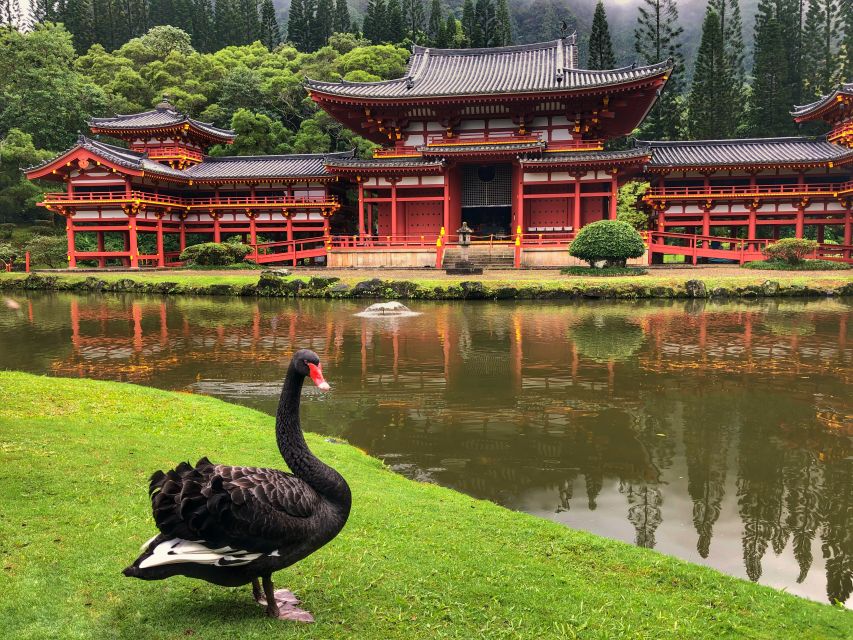 Oahu: Private Best of Oahu Sightseeing Tour - Price and value: is $600 per group actually fair?