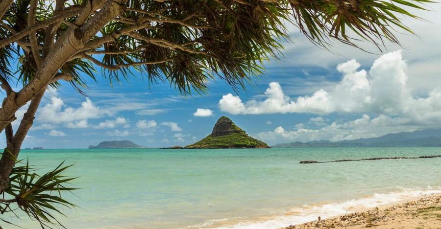 Oahu: Private Custom Island Tour - How the Day Flows: East Views, North Shore Time, and a Pearl Harbor Finish