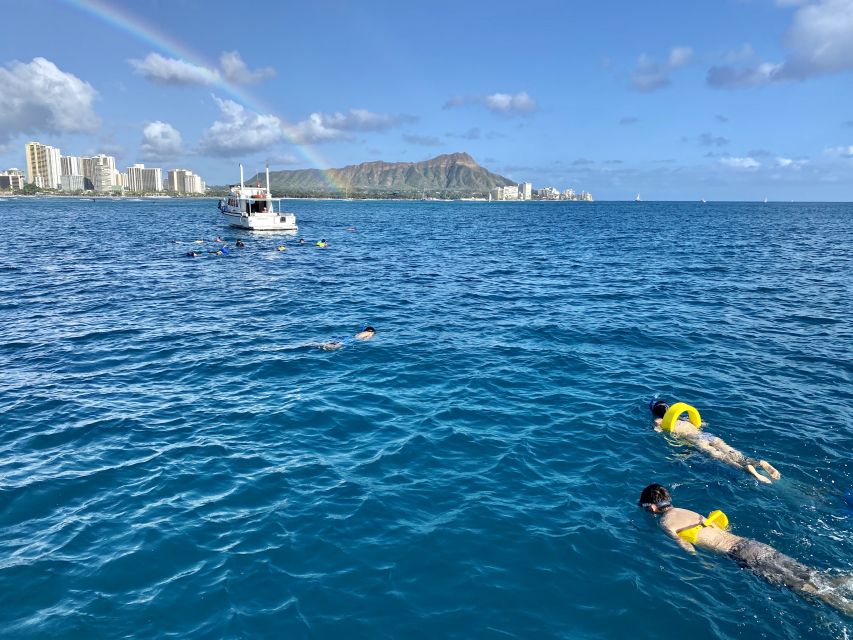 Oahu: Private Turtle Snorkeling with Customizable Itinerary - Why a private turtle snorkeling charter feels worth the money
