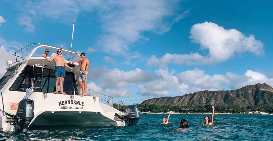 Oahu: Private Turtle Snorkeling with Customizable Itinerary - Waikiki wildlife viewing: scenery time without the snorkel fatigue