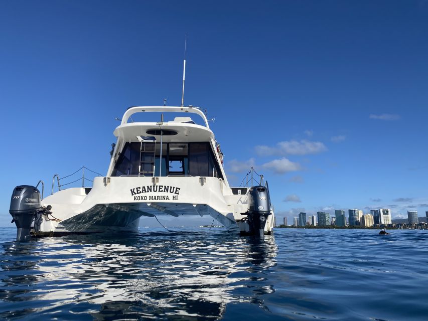 Oahu: Private Turtle Snorkeling with Customizable Itinerary - Price and value: what you actually get for $721