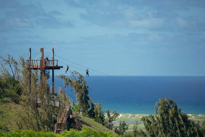 Oahu's North Shore: 8-Line Zipline Adventure - Safety, Weight Limits, and What to Wear Without Guessing