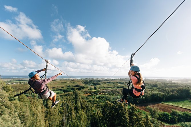 Oahu's North Shore: 8-Line Zipline Adventure - Price and Value: What You’re Paying For at $203.65