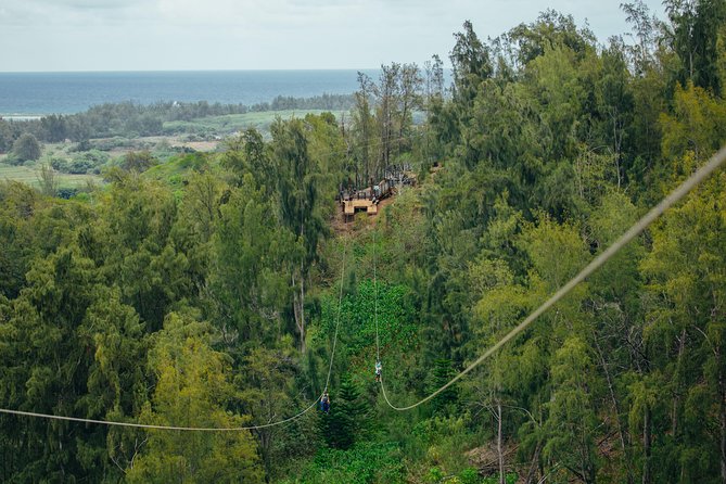 Oahu's North Shore: 8-Line Zipline Adventure - Who Should Book This Oahu North Shore Zipline Adventure
