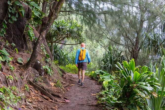Oahu's North Shore Self-Guided Audio Tour - Key things I’d plan around