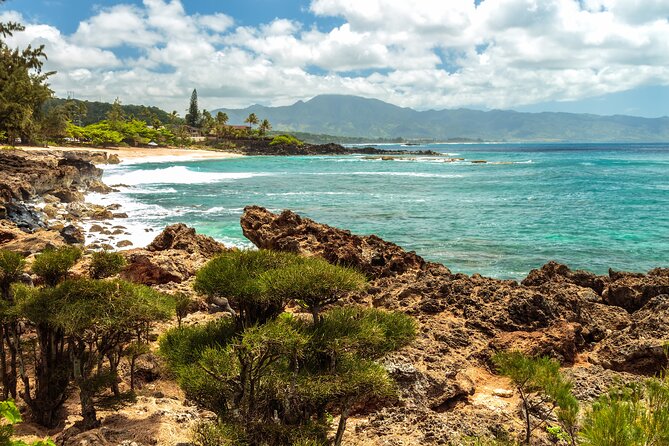 Oahu's North Shore Self-Guided Audio Tour - The beach and wave belt: turtles, shave ice, heiau, and shoreline icons