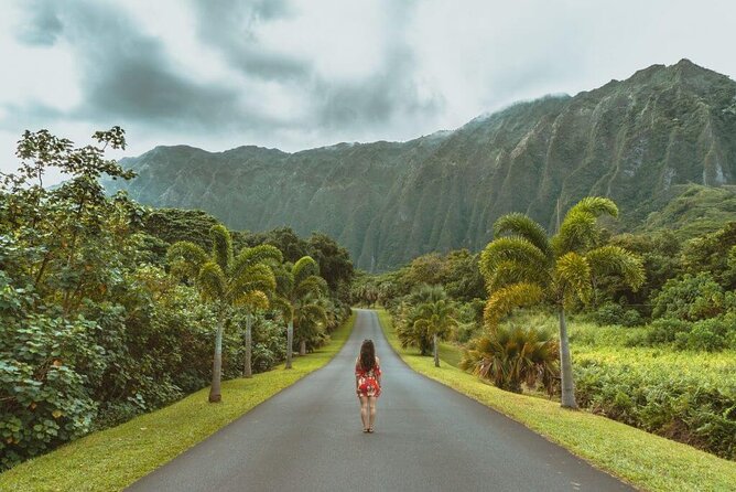 Oahu's North Shore Self-Guided Audio Tour - Value, timing, and who should book this self-guided loop